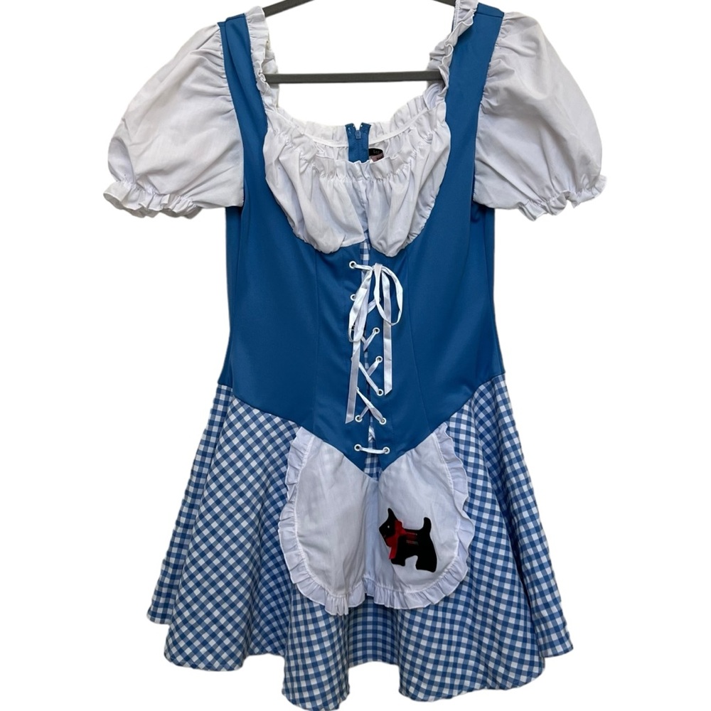 Leg Avenue Blue and White Gingham Dorothy Style Dress